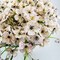 16 Bundles Outdoor Artificial Flowers UV Resistant Fake Flowers No Fade Faux Plastic Plants for Garden Porch Window Box Home Outside Hanging Planter Spring Summer Décor (White) 9.45"D x 9.45"W x 13"H